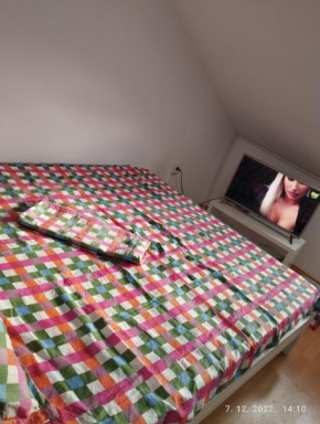 Apartment Sokobanja